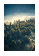 Misty Forest | Erstellen Sie Ihr eigenes Plakat