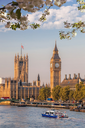 Big Ben In London During Spring