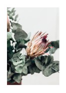 Pretty Dried Pink Flower | Erstellen Sie Ihr eigenes Plakat