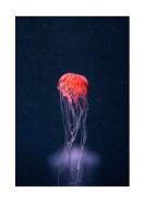 Vibrant Jellyfish In The Ocean | Erstellen Sie Ihr eigenes Plakat
