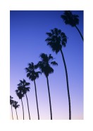 Palm Trees At Sunset In California | Erstellen Sie Ihr eigenes Plakat