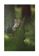 Wild Lynx In Nature | Erstellen Sie Ihr eigenes Plakat