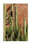 Cactus Plant In The Sun | Erstellen Sie Ihr eigenes Plakat