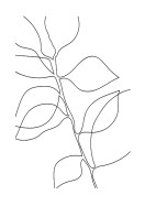 Botanical Line Art | Erstellen Sie Ihr eigenes Plakat